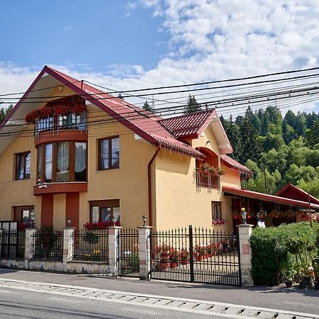 Hotel Casa Cu Flori Moisei Exterior foto