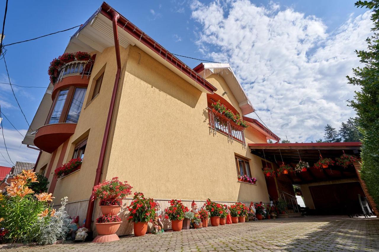 Hotel Casa Cu Flori Moisei Exterior foto