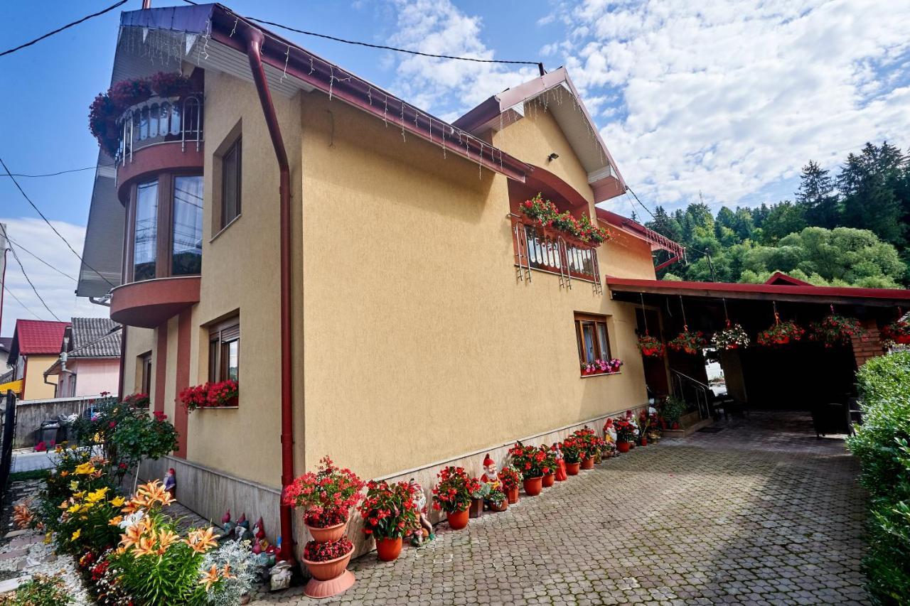 Hotel Casa Cu Flori Moisei Exterior foto