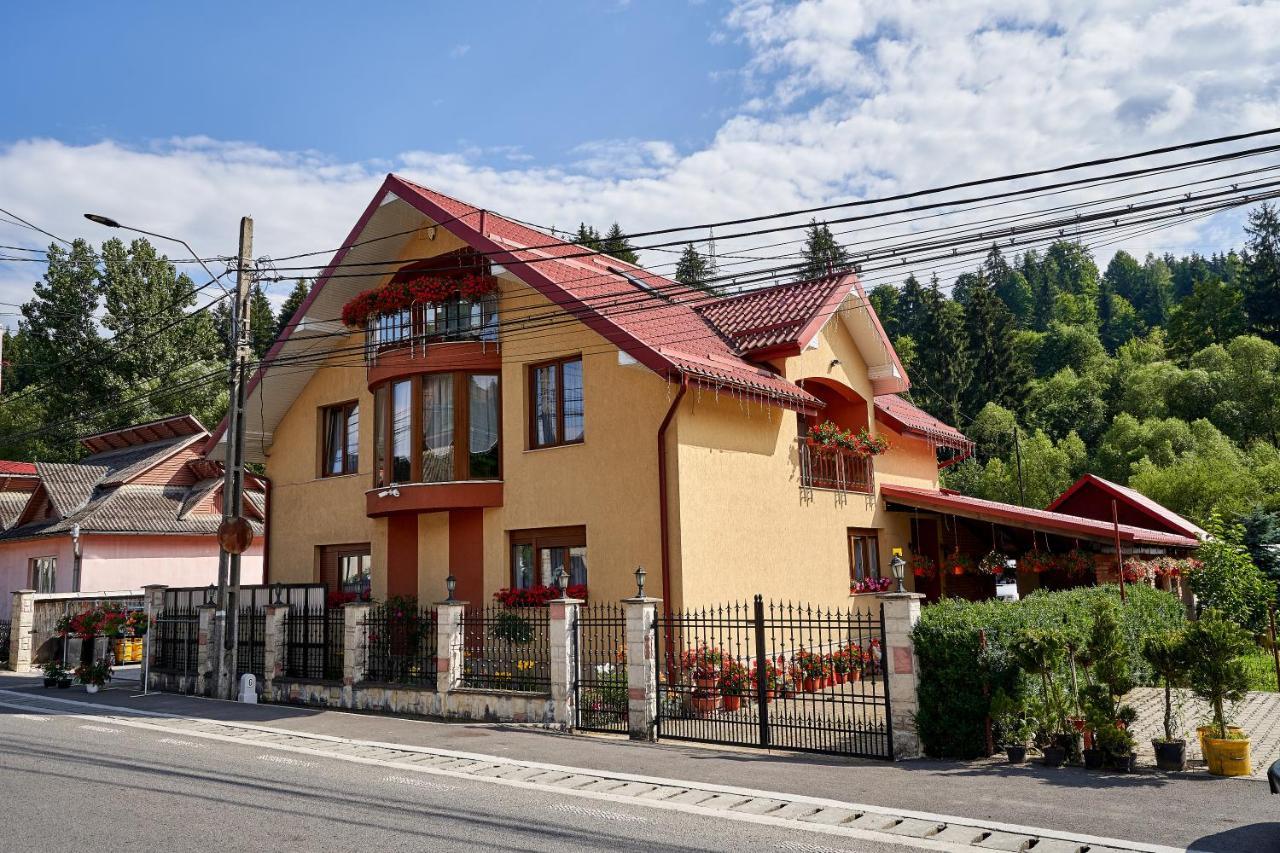 Hotel Casa Cu Flori Moisei Exterior foto