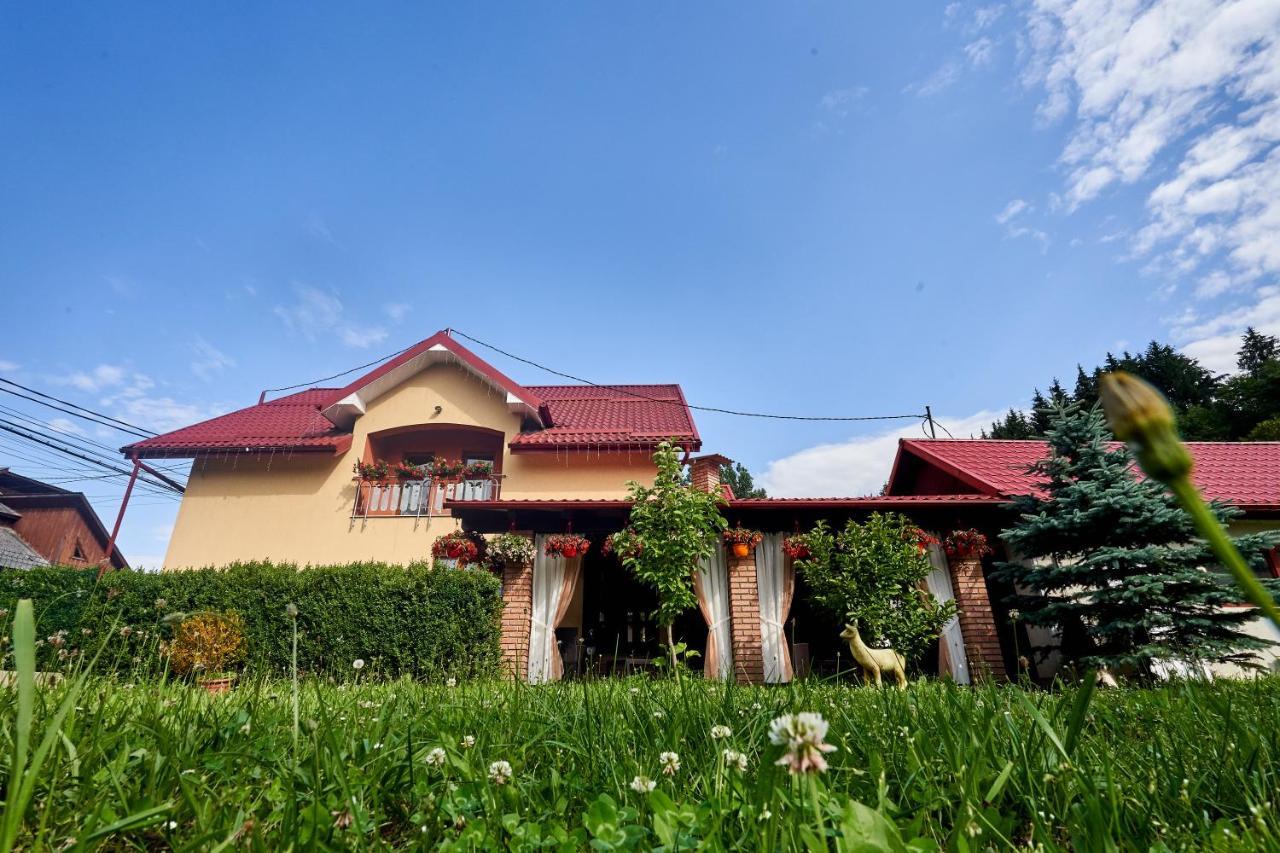 Hotel Casa Cu Flori Moisei Exterior foto